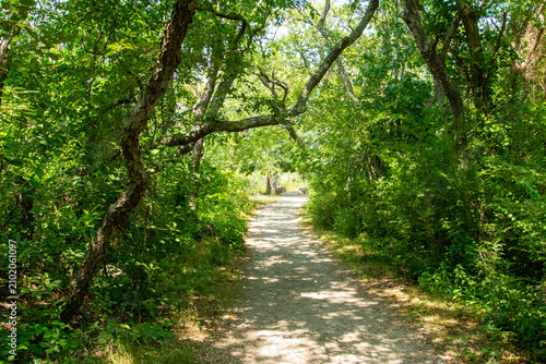 path in the park