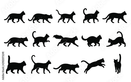 Black cat silhouettes collection various poses and styles