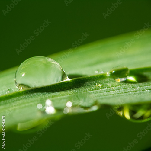 Macro photography of clear dew drops on a blade of green grass with moisture