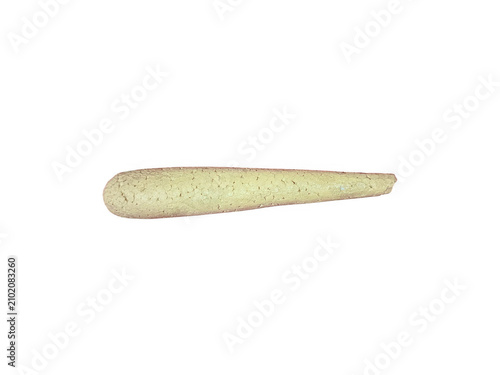 Soft plastic fishing lure for catching bass in the water isolated on transparent background