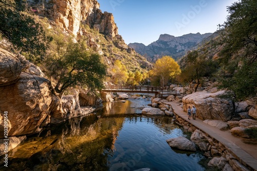 Desert Forest Canyon Scene Along Sabino Creek, Southern Arizona