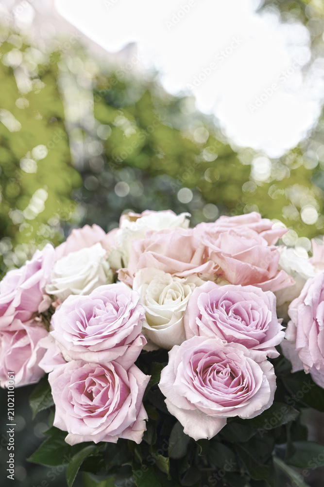 Fototapeta premium Beautiful bouquet of roses outdoors, closeup. Pastel toning
