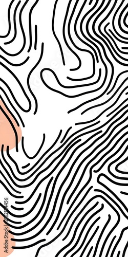 Abstract topographic contour line map, black lines on white background with peach shape, illustration.