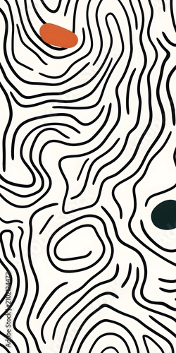 Minimalist abstract black and white topographic contour line map illustration with orange and green shapes.