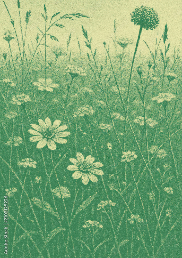 Obraz premium Serene wildflower meadow illustration