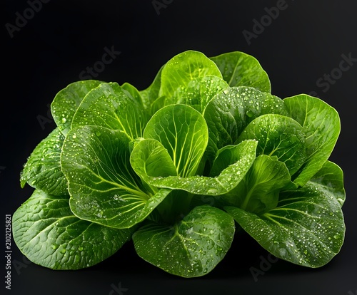 Head of bok choy vegetable with water drops on black surface healthy food.
