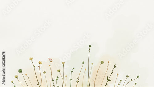 Delicate botanical stems with slender leaves on white background