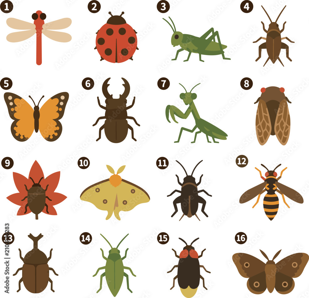 Obraz premium Autumn Insects Icon Set Illustration Collection