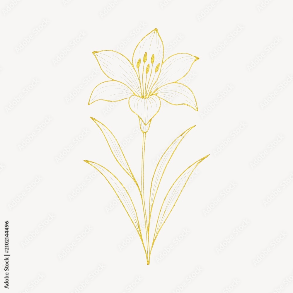 Obraz premium Elegant floral line art illustration