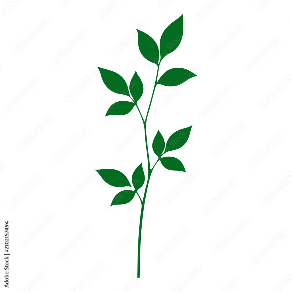 Fototapeta premium Green Plant Stem with Multiple Leaves for Nature and Environment Themes.