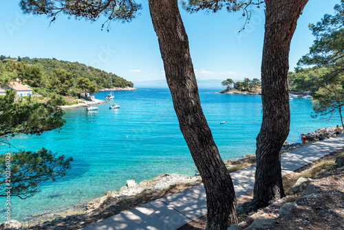 Sunčana Uvala (Bay of the Sun) near the Hotel Aurora, Mali Lošinj, Croatia