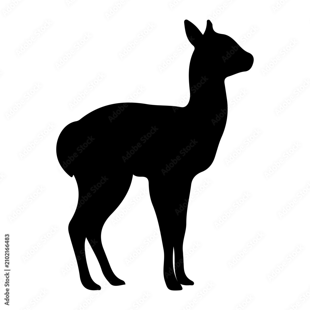 Fototapeta premium Silhouette of a Llama Standing on White Background.