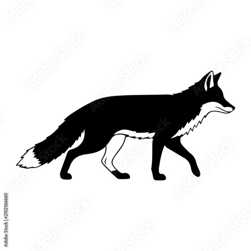 Картината върху платно Silhouette of a Fox Walking in Profile View.