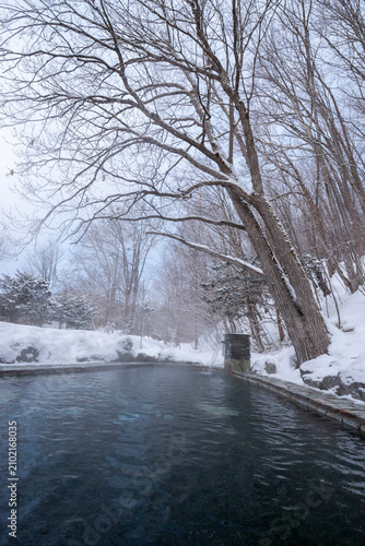 Outdoor hot spring bath surrounded by snowy trees in winter landscape, Hokkaido