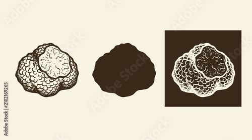 Artistic Minimalist Truffle Mushroom Illustration Featuring Clean Black Outline Silhouette and Modern Negative Space Graphic Design Element for Gourmet Culinary Branding and Menu Decoration