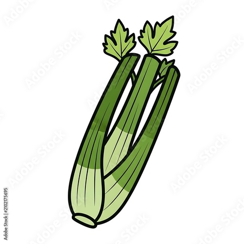 Fresh green zucchini squash with leaf on white.