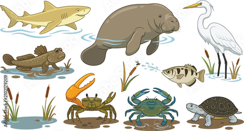 Foto Estuary and Coastal Wetland Wildlife Vector Icon Set Featuring Manatee Shark Her