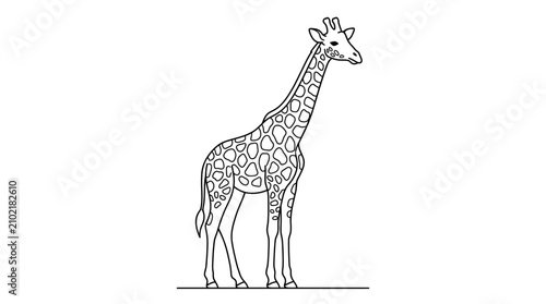 Photography Giraffe Line Art Vector Illustration