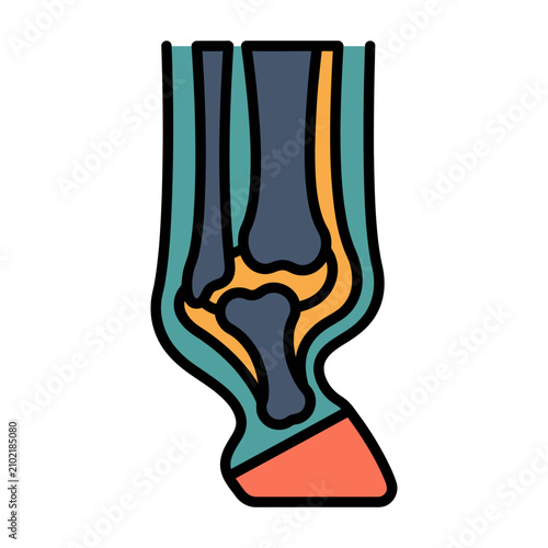 Horse Leg Hoof X-Ray Icon for Equine Veterinary
