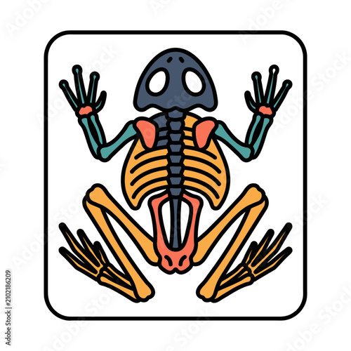 Frog Amphibian Skeleton X-Ray Icon for Zoology