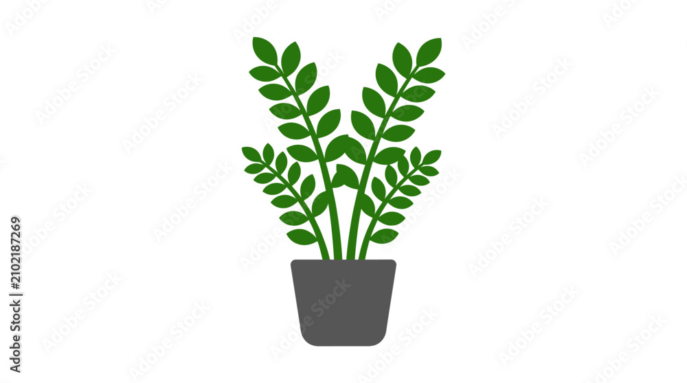 Fototapeta premium ZZ Plant Vector Illustration