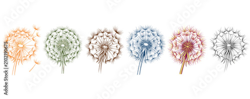 Bild auf Leinwand Colorful dandelion set