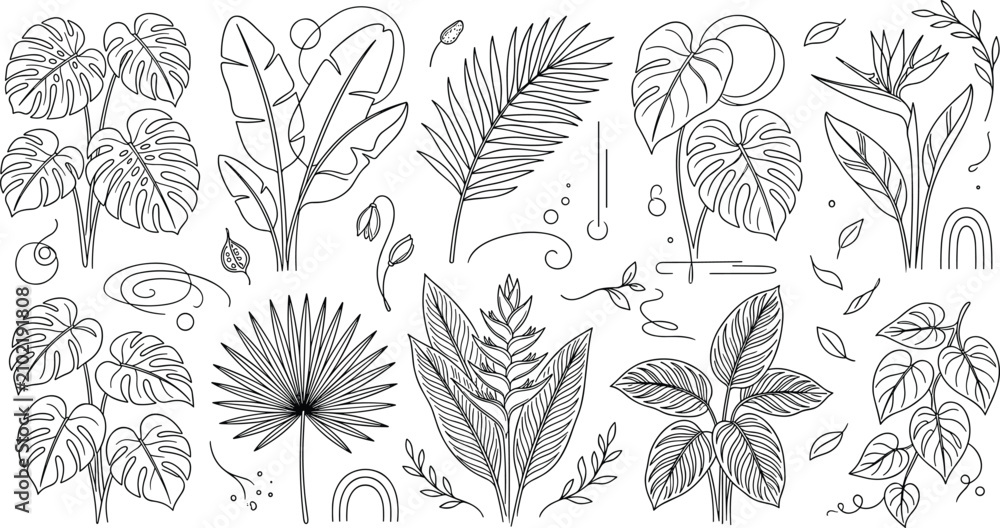 Fototapeta premium Tropical leaves line art vector illustrations set featuring monstera palm banana leaf and bird of paradise outline elements for minimalist branding cosmetic packaging textile design