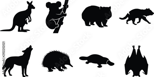 Photography Black silhouette vector set of Australian native wildlife featuring kangaroo koa