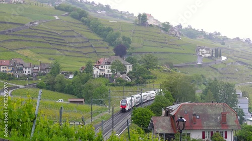 Scenic train traveling through Lavaux vineyard terraces