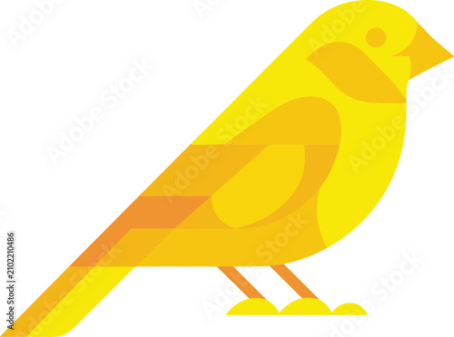 Canary yellow color bird animal vector on white background.
