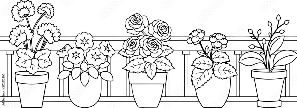 Obraz premium Beautiful balcony garden coloring page outline featuring various blooming potted flowers lined up neatly against a wooden railing fence.