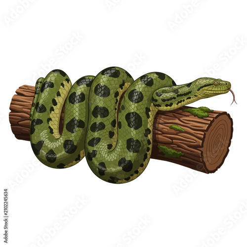 Bild auf Leinwand Green Anaconda Snake Coiled Around Tree Trunk
