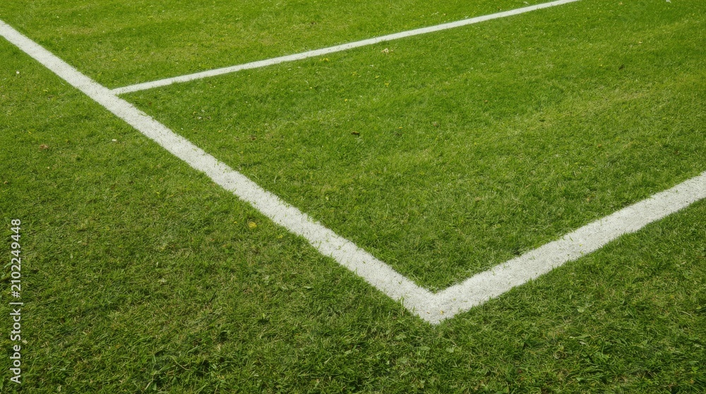 Fototapeta premium Freshly painted white corner markings on a vibrant green grass court from an overhead perspective with viewed low overhead angle clean intersection freshly