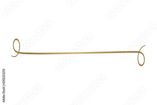 Elegant Gold Swirl Line Divider flourish