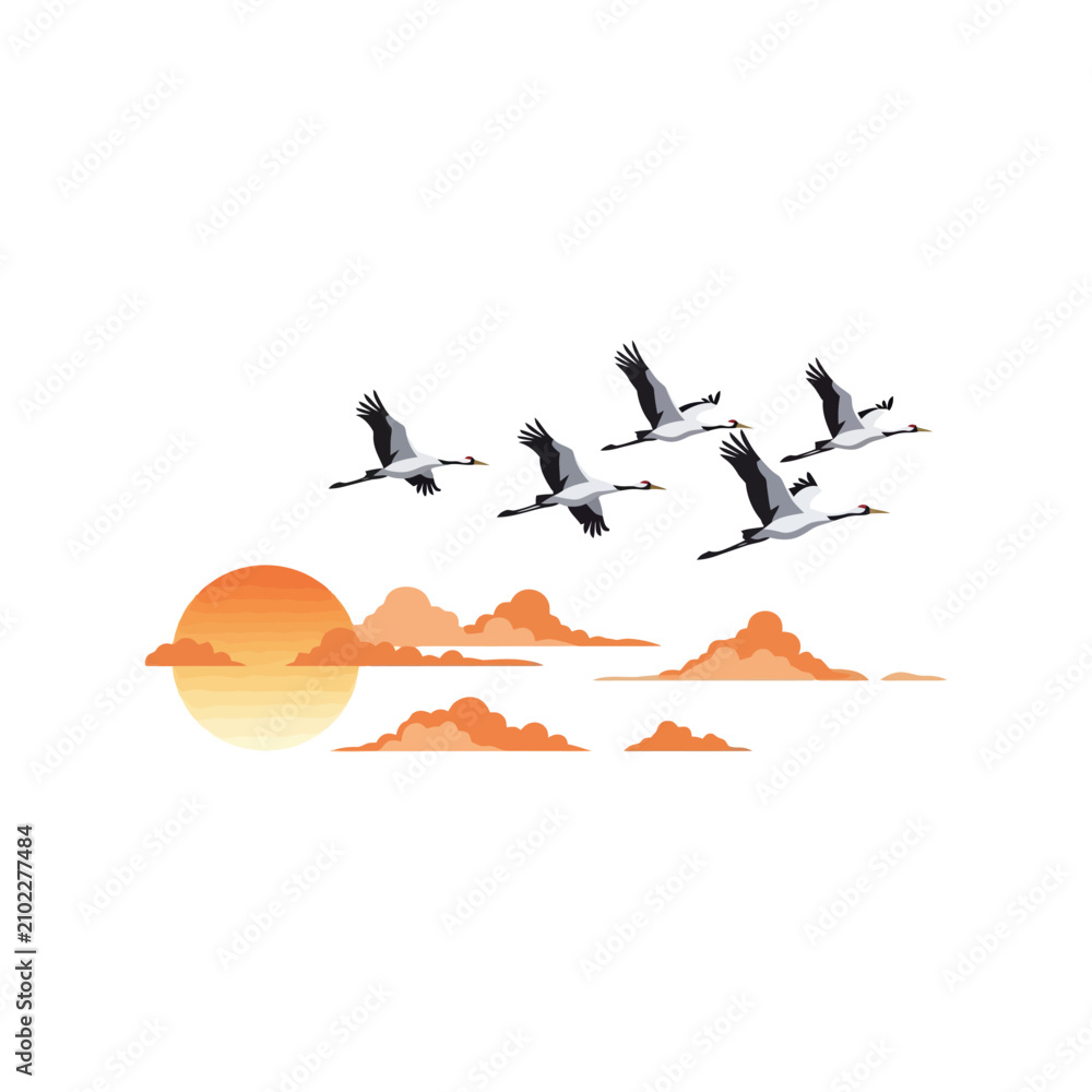 Obraz premium Flock of cranes flying in the sky during sunset with orange clouds, vector illustration on white background