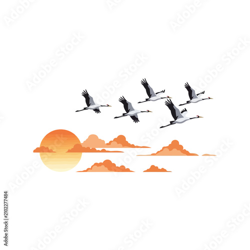 Flock of cranes flying in the sky during sunset with orange clouds, vector illustration on white background