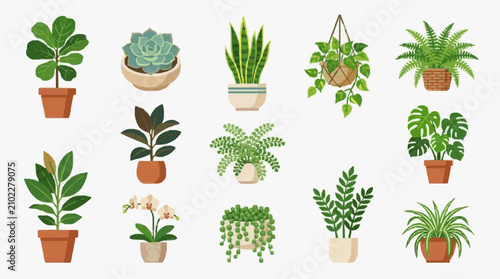 Foto Professional of 15 Unique Indoor Houseplants in Colorful Pots for Home Decor and