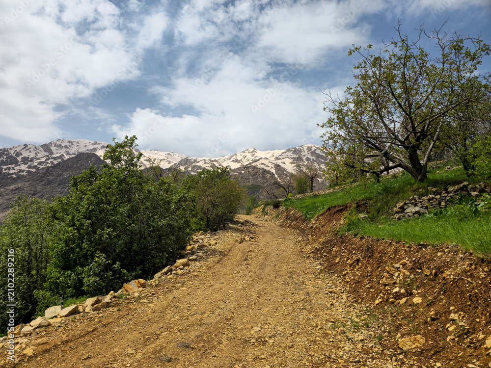 Fototapeta premium A dirt road winds along a rocky hillside bordered by dense green shrubs, with a young tree standing nearby and snow-streaked mountains stretching under a partly cloudy sky 📍 Hawraman Takht, Kurdistan