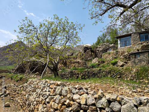 Obraz na płótnie A stone-walled village house with a blossoming tree stands among boulders and stacked stone terraces on a mountain slope