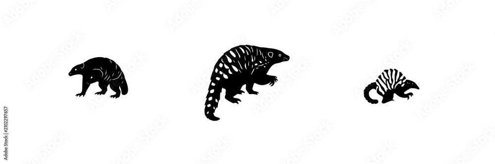 Fototapeta premium Solid black silhouette of a rare pangolin in a defensive walking stance, endangered wildlife conservation icon, white background. set with simple line art design featuring simple design, minimalist...