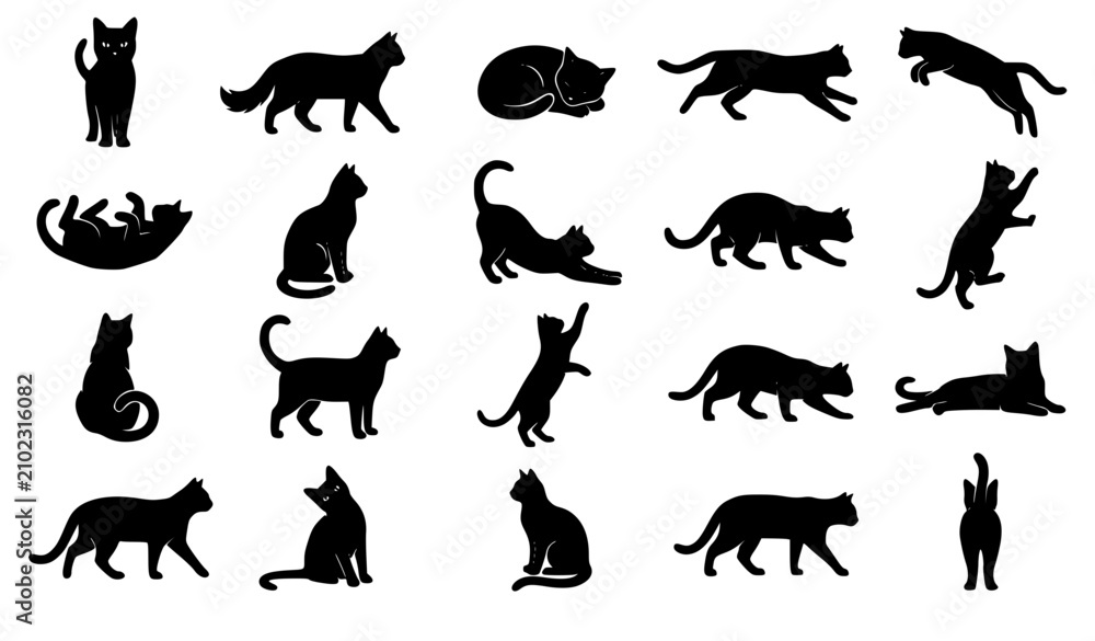 Fototapeta premium Collection of black cat silhouettes in various active and resting poses including walking jumping stretching and sitting isolated on white background vector icon set