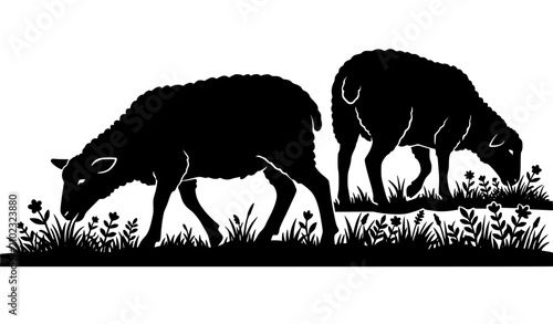 Two domestic sheep grazing on grass and wildflowers in a country meadow pasture border livestock farming concept silhouette vector illustration