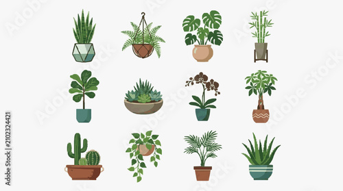 Fotografie Sleek Collection of Twelve Stylish Indoor Plants in Modern Pots and Hanging Plan