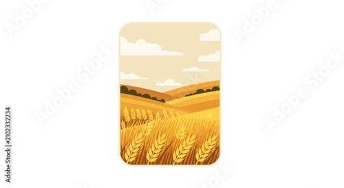 Golden wheat field stretching over rolling hills at sunset