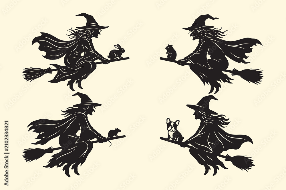 Fototapeta premium Halloween Witch Silhouette Bundle Vector