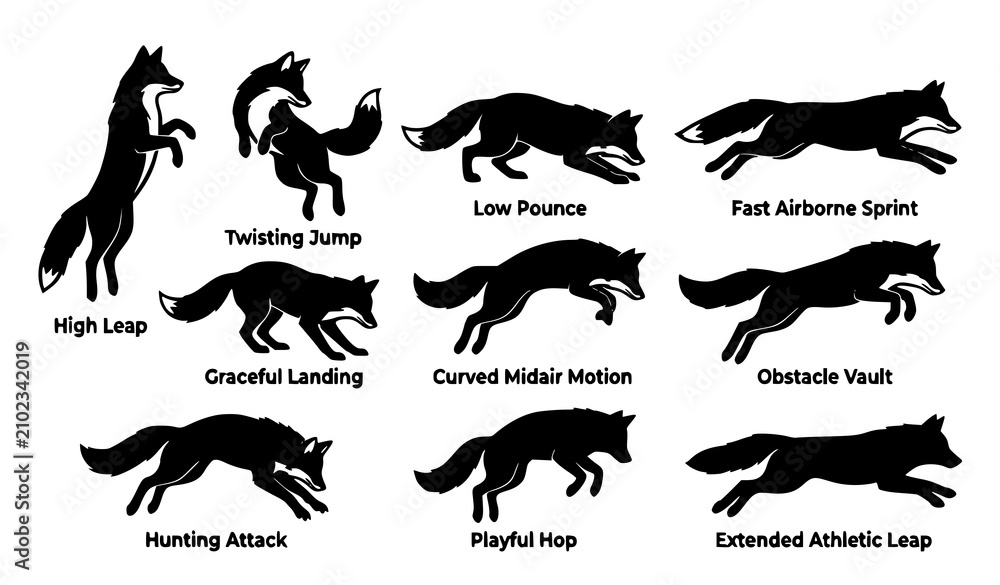 Fototapeta premium Running and Jumping Fox Silhouette Vector Set with Various Dynamic Action Poses