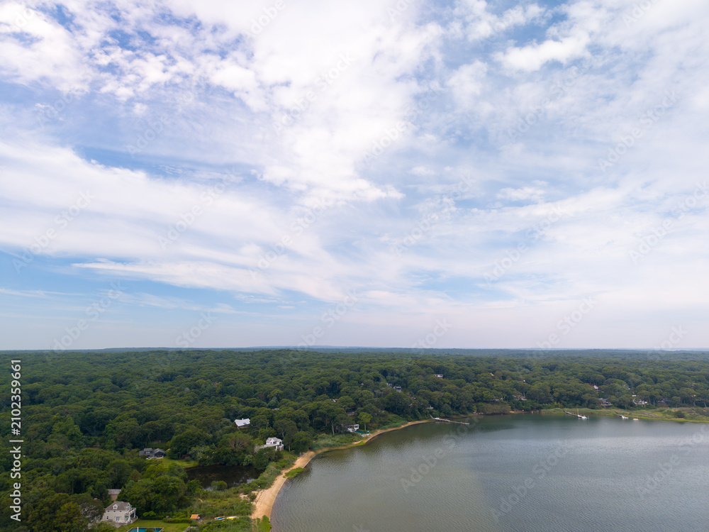 Fototapeta premium Aerial view of coastal town with forest and bay
