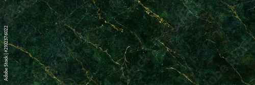 Bild auf Leinwand Luxurious Dark Green Marble Texture Background with Gold Veins Elegant Emerald S