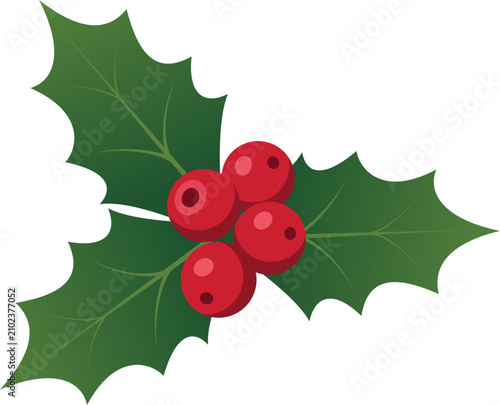 Christmas Holly Berries and Leaves for Holiday Decoration