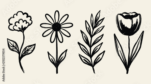 Botanical floral decorative elements set in a whimsical sketch style, blooming spring daisies, elegant tulips, and leaves